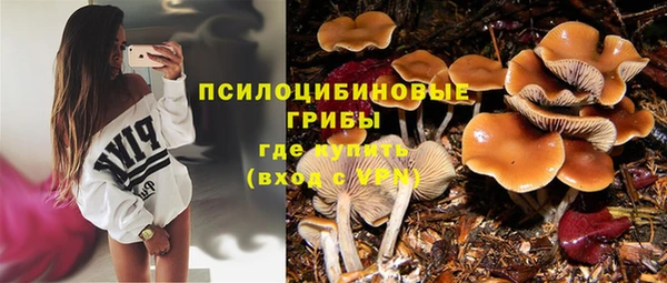 мяу мяу мука Остров