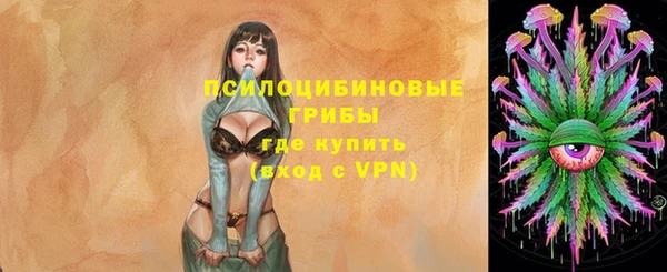 прущий лед Осташков