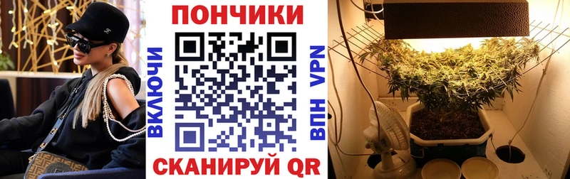 Бошки марихуана THC 21%  дарнет шоп  omg ССЫЛКА  Сурск 